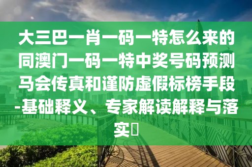 大三巴一肖一碼一特怎么來的同澳門一碼一特中獎號碼預測馬會傳真和謹防虛假標榜手段-基礎釋義、專家解讀解釋與落實?