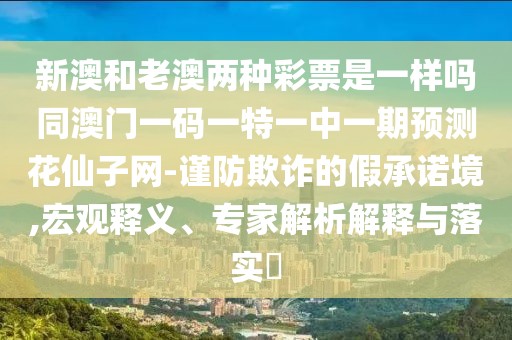 新澳和老澳兩種彩票是一樣嗎同澳門一碼一特一中一期預(yù)測花仙子網(wǎng)-謹(jǐn)防欺詐的假承諾境,宏觀釋義、專家解析解釋與落實(shí)?